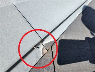 棟板金の釘が抜けてきている